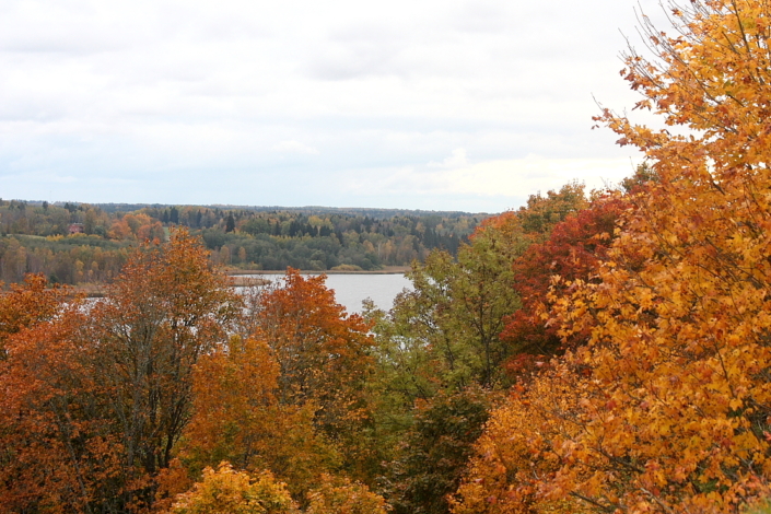 Viljandi järv lossimägedest vaadatuna